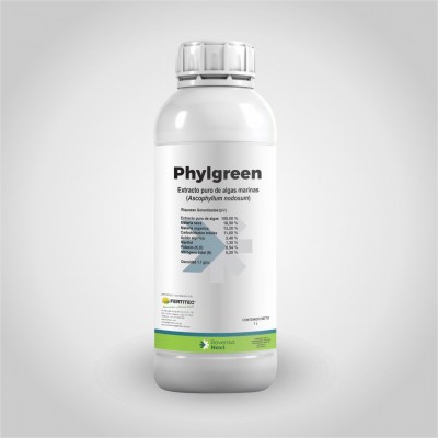 PHYLGREEN