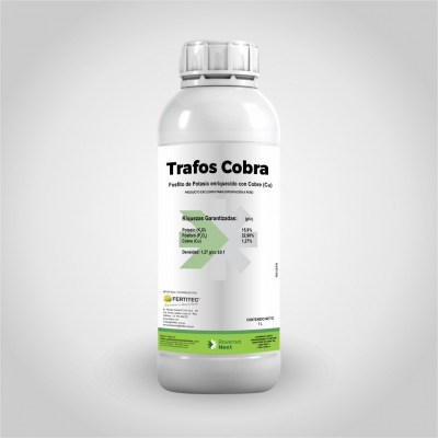 TRAFOSCOBRA